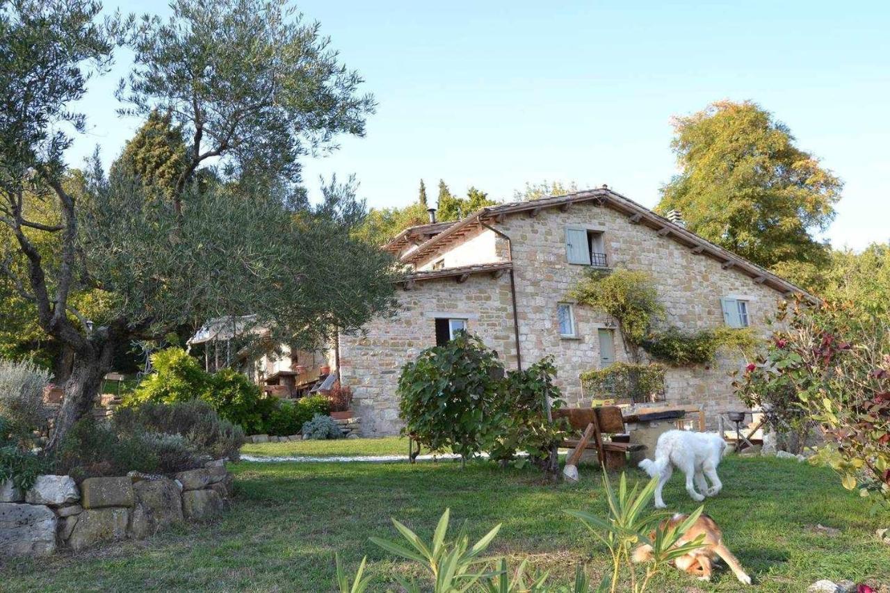 Agriturismo Montesalce Villa Gubbio Eksteriør billede