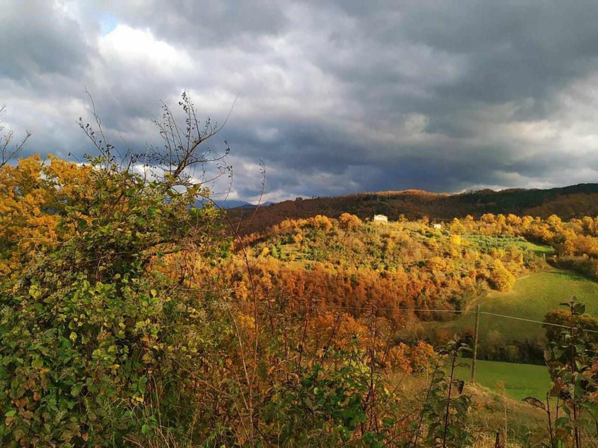 Agriturismo Montesalce Villa Gubbio Eksteriør billede